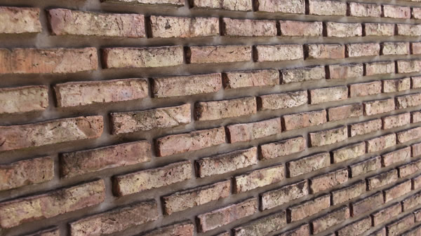 Finalización del Trabajo